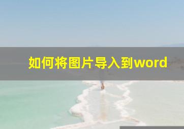 如何将图片导入到word