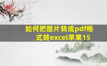 如何把图片转成pdf格式转excel苹果15