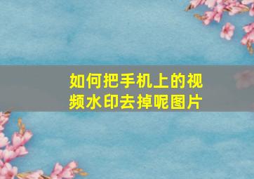 如何把手机上的视频水印去掉呢图片