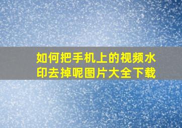 如何把手机上的视频水印去掉呢图片大全下载