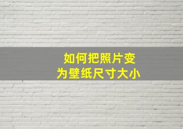 如何把照片变为壁纸尺寸大小