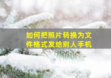 如何把照片转换为文件格式发给别人手机