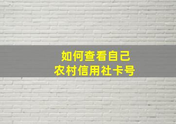 如何查看自己农村信用社卡号