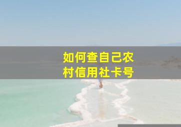 如何查自己农村信用社卡号