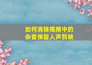 如何消除视频中的杂音保留人声剪映