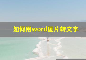 如何用word图片转文字