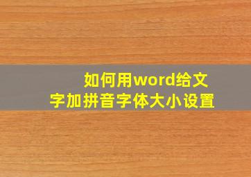 如何用word给文字加拼音字体大小设置