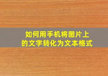 如何用手机将图片上的文字转化为文本格式