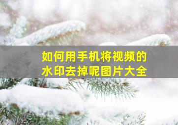 如何用手机将视频的水印去掉呢图片大全