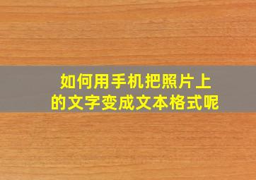 如何用手机把照片上的文字变成文本格式呢