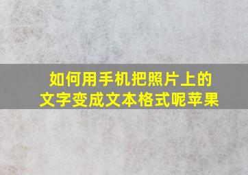 如何用手机把照片上的文字变成文本格式呢苹果