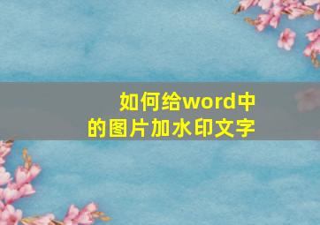 如何给word中的图片加水印文字