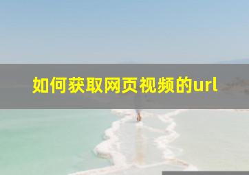 如何获取网页视频的url