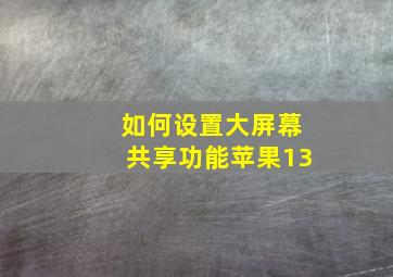 如何设置大屏幕共享功能苹果13