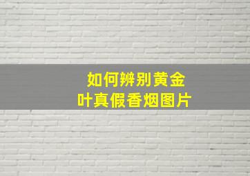 如何辨别黄金叶真假香烟图片