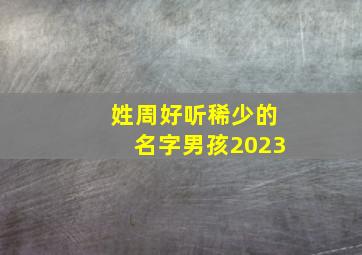 姓周好听稀少的名字男孩2023