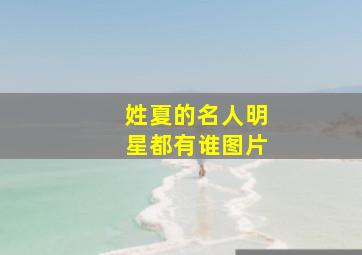 姓夏的名人明星都有谁图片