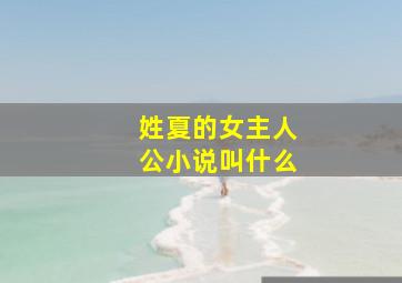 姓夏的女主人公小说叫什么