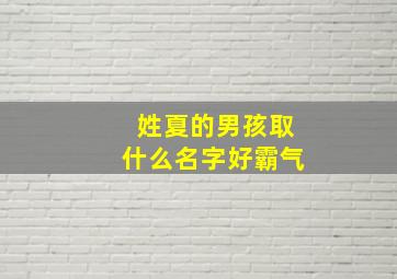 姓夏的男孩取什么名字好霸气