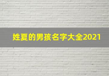 姓夏的男孩名字大全2021