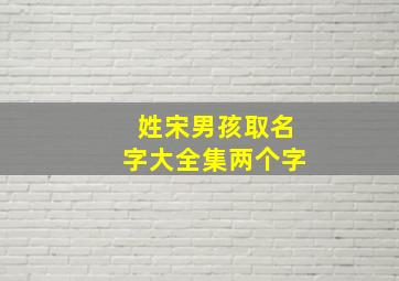 姓宋男孩取名字大全集两个字