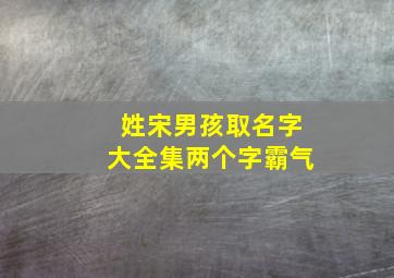 姓宋男孩取名字大全集两个字霸气