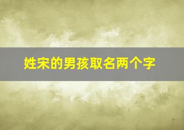 姓宋的男孩取名两个字