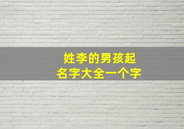 姓李的男孩起名字大全一个字