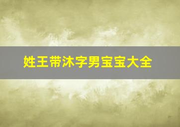 姓王带沐字男宝宝大全