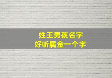 姓王男孩名字好听属金一个字