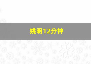 姚明12分钟