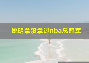 姚明拿没拿过nba总冠军