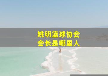 姚明篮球协会会长是哪里人