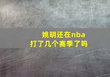 姚明还在nba打了几个赛季了吗