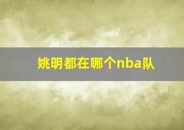 姚明都在哪个nba队