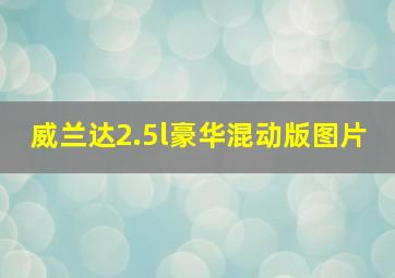 威兰达2.5l豪华混动版图片