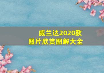 威兰达2020款图片欣赏图解大全