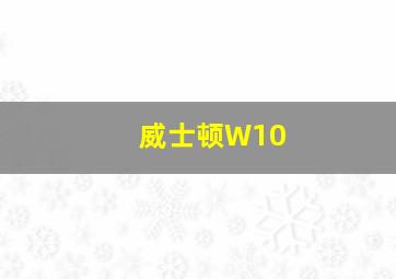 威士顿W10