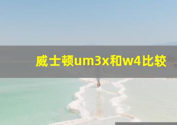 威士顿um3x和w4比较