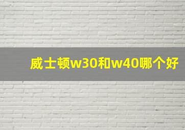 威士顿w30和w40哪个好