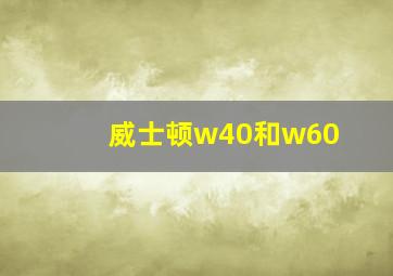 威士顿w40和w60