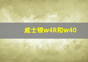 威士顿w4R和w40