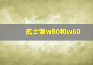 威士顿w80和w60