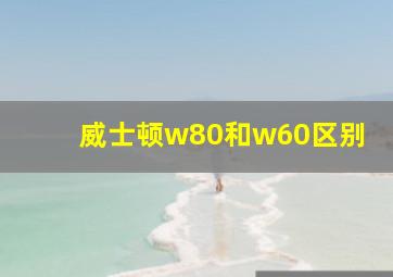 威士顿w80和w60区别