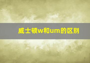 威士顿w和um的区别