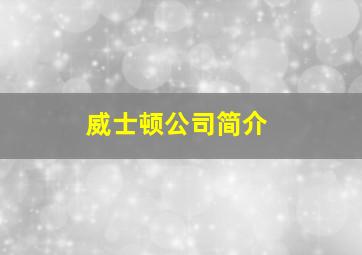 威士顿公司简介