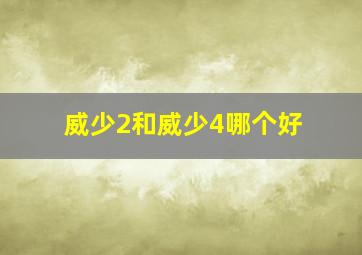 威少2和威少4哪个好