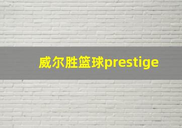 威尔胜篮球prestige