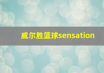 威尔胜篮球sensation