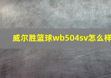 威尔胜篮球wb504sv怎么样